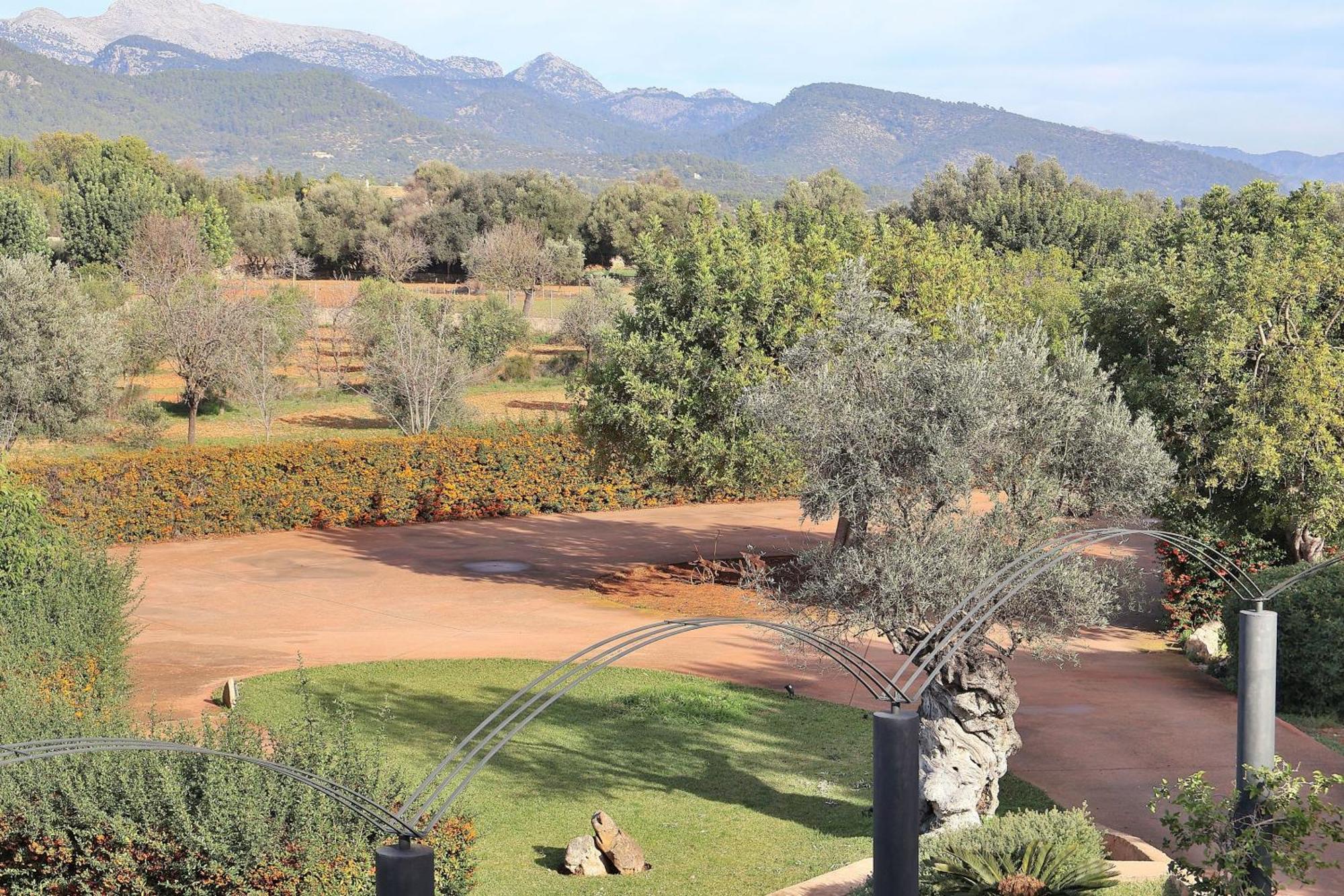 151 Villa Es Triquet Et3366 By Mallorca Charme Binissalem Exterior photo