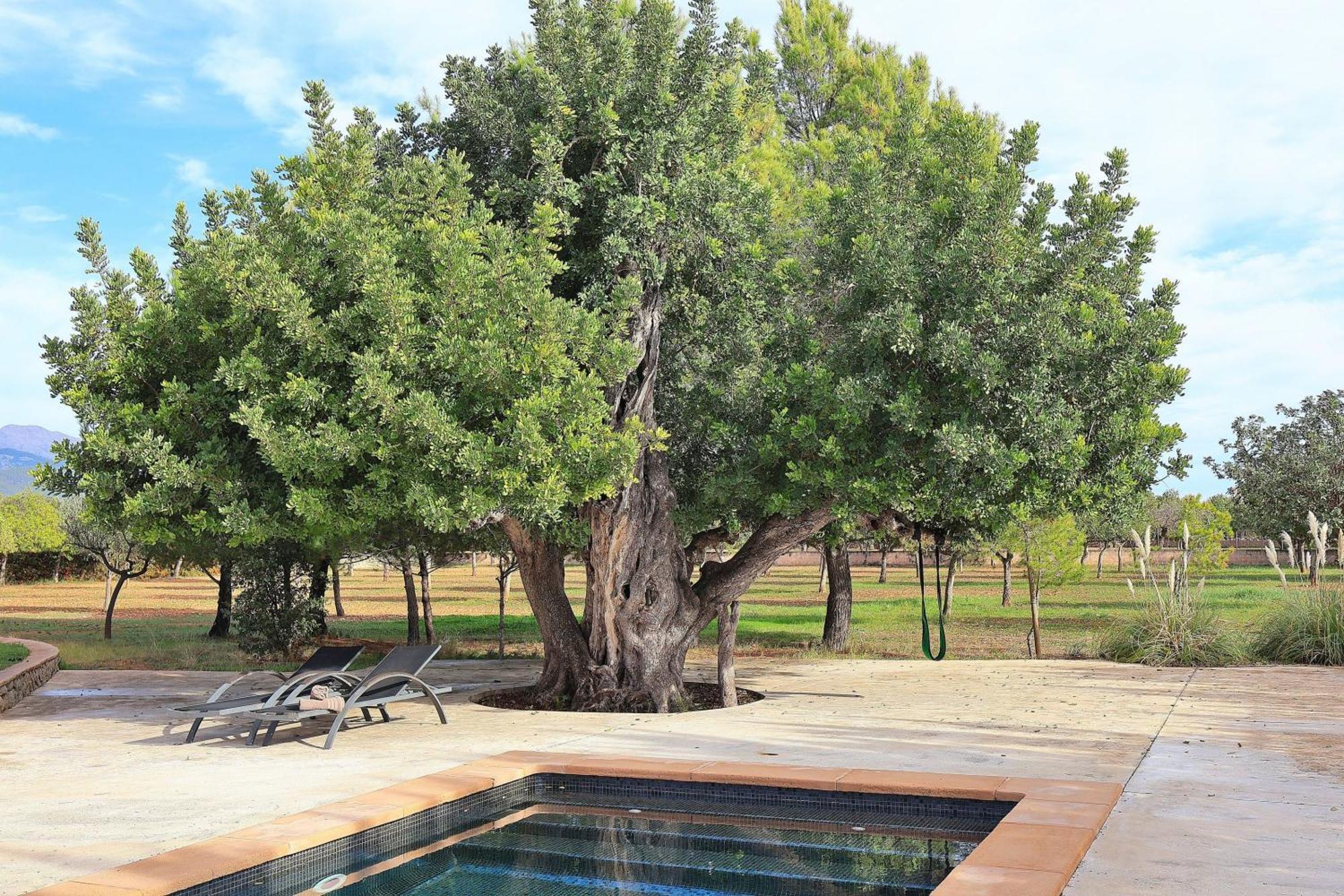 151 Villa Es Triquet Et3366 By Mallorca Charme Binissalem Exterior photo